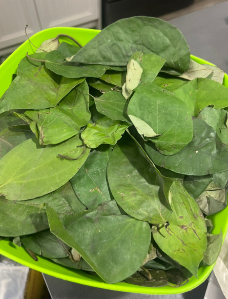 Fresh Vegetables