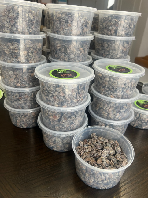 Iru (Locust Beans) – Traditional Fermented Flavor Enhancer