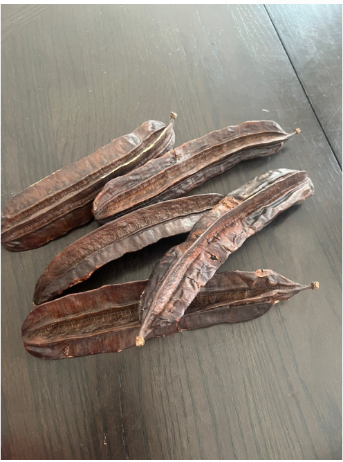 Aidan fruit (Uyayak) 2 for $5