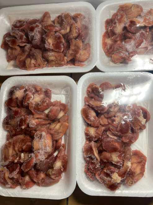 Chicken Gizzard