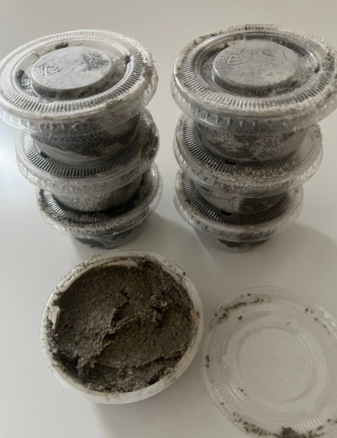 Ogiri (Fermented Seasoning)
