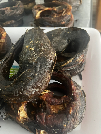 Dried CatFish